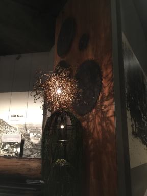 12768370_10208479100445232_9032742943479456100_o